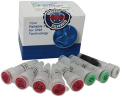 HelixAmp ֲѪҺӱֱ RT-PCRԇ