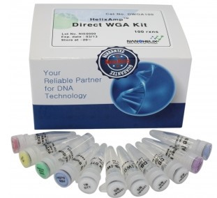 HelixAmp ֲѪҺӱֱӻMU(WGA)ԇ