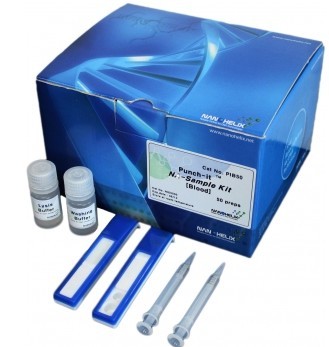 Punch-it ᣨDNA/RNAȡԇ