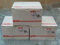 Hylabs̼ùϩˎcUCREqPCRzyԇ