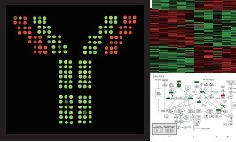 ScioCD(bio)ӛCDӣ_VwоƬ