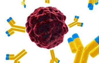 Biosynex[(bio)ӛٙzy(c)ԇУzw𷨣