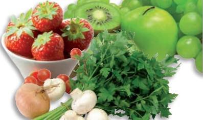 Demeditec ^(gu)ԭ\ԇУELISA